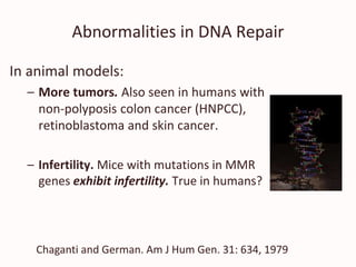 Abnormalities in DNA Repair
In animal models:
– More tumors. Also seen in humans with
non-polyposis colon cancer (HNPCC),
retinoblastoma and skin cancer.
– Infertility. Mice with mutations in MMR
genes exhibit infertility. True in humans?
Chaganti and German. Am J Hum Gen. 31: 634, 1979
 