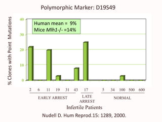 %CloneswithPointMutations
EARLY ARREST LATE
ARREST
NORMAL
2 19 31 5 34 100 500 600436 11 17
Infertile Patients
Nudell D. Hum Reprod.15: 1289, 2000.
Polymorphic Marker: D19S49
Human mean = 9%
Mice Mlh1-/- =14%
 