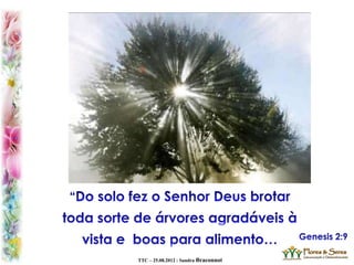 TTC – 25.08.2012 : Sandra Braconnot
 