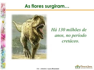 TTC – 25.08.2012 : Sandra Braconnot
As flores surgiram…
Há 130 milhões de
anos, no período
cretáceo.
 