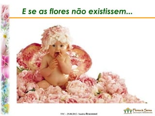 TTC – 25.08.2012 : Sandra Braconnot
E se as flores não existissem...
 