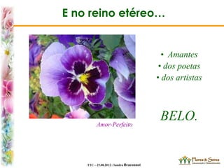 TTC – 25.08.2012 : Sandra Braconnot
• Amantes
• dos poetas
• dos artistas
BELO.Amor-Perfeito
E no reino etéreo…
 