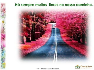 TTC – 25.08.2012 : Sandra Braconnot
Há sempre muitas flores no nosso caminho.
 