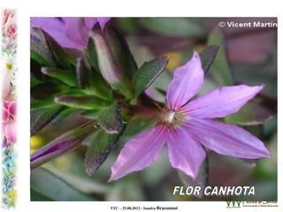 TTC – 25.08.2012 : Sandra Braconnot
 