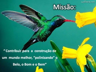 TTC – 25.08.2012 : Sandra Braconnot
 