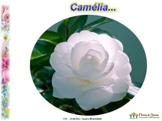 TTC – 25.08.2012 : Sandra Braconnot
 