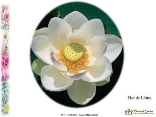 TTC – 25.08.2012 : Sandra Braconnot
Flor de Lótus
 