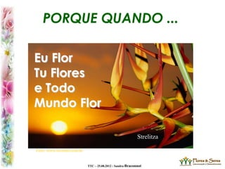TTC – 25.08.2012 : Sandra Braconnot
PORQUE QUANDO ...
Eu Flor
Tu Flores
e Todo
Mundo Flor
Foto: www.lovenet.com.br
Strelitza
 