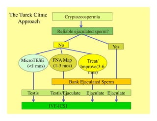 Cryptozoospermia	

	

Reliable ejaculated sperm?	

No	

IVF-ICSI 	

Bank Ejaculated Sperm	

Yes	

FNA Map
(1-3 mos)	

MicroTESE
(<1 mos)	

Treat/
Improve(3-6
mos)	

Testis Testis/Ejaculate Ejaculate 	

Ejaculate 	

The Turek Clinic	

Approach	

 