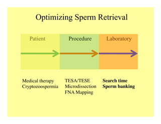 Optimizing Sperm Retrieval
Patient Procedure Laboratory
Medical therapy	

Cryptozoospermia	

TESA/TESE	

Microdissection	

FNA Mapping	

Search time	

Sperm banking	

 