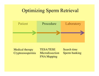 Optimizing Sperm Retrieval
Patient Procedure Laboratory
Medical therapy	

Cryptozoospermia	

TESA/TESE	

Microdissection	

FNA Mapping	

Search time	

Sperm banking	

 
