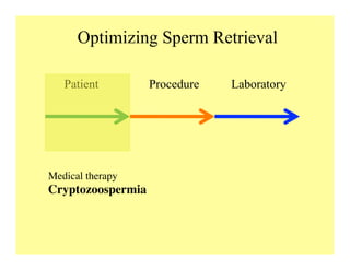 Optimizing Sperm Retrieval
Patient Procedure Laboratory
Medical therapy	

Cryptozoospermia	

 