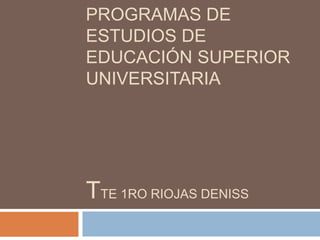 PROGRAMAS DE
ESTUDIOS DE
EDUCACIÓN SUPERIOR
UNIVERSITARIA
TTE 1RO RIOJAS DENISS
 