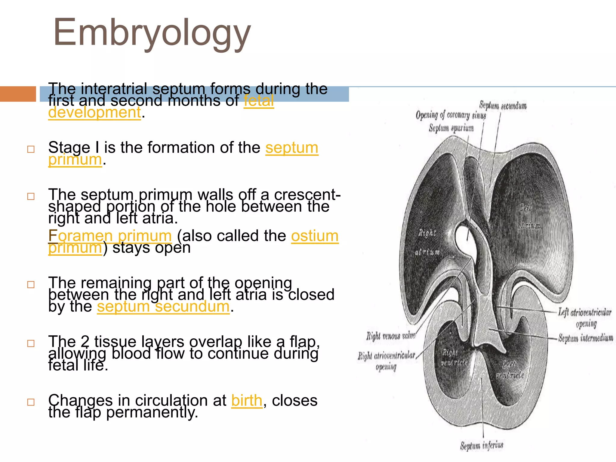 Multiple Asd Tee Tte and tee assessment for asd closure 2 | PPTX
