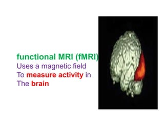 functional MRI (fMRI)
Uses a magnetic field
To measure activity in
The brain