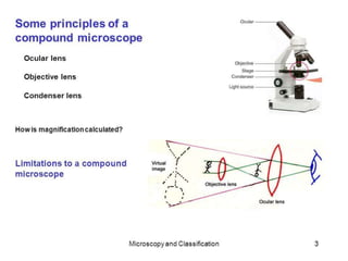 T&Tec Introduction.pptx