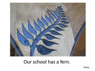 Our school has a fern.
                         Bailey
 