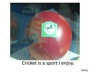 Cricket is a sport I enjoy.
                              Bailey
 
