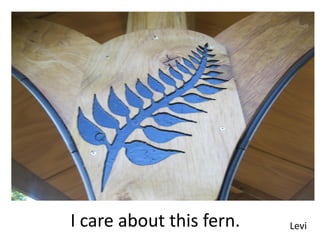 I care about this fern.   Levi
 
