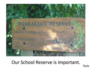 Our School Reserve is important.
                                   Tayla
 