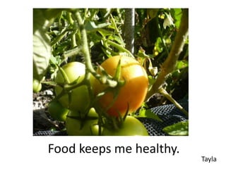 Food keeps me healthy.
                         Tayla
 