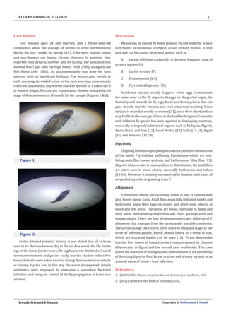 2
Trends Telemed E-Health Copyright © Mohammed B Ismail
TTEH.MS.ID.000538. 2(3).2020
Case Report
Two females aged 34 and married, and a fifteen-year-old
complained about the passage of worms in urine intermittently
during the last t weeks on Spring 2017. They were in good health
and non-diabetic nor having chronic illnesses. In addition, they
reported mild dysuria, no fever and no itching. The urinalysis test
showed 4 to 7 pus cells Per High Power Field (PHF), no significant
Red Blood Cells (RBC). An ultrasonography was done for both
patients with no significant findings. The worms pass mostly at
early morning, i.e. voided urine, so the early morning urine sample
collected is examined, tiny worms could be spotted by a naked eye 3
to 4mm in length, Microscopic examination showed multiple larval
stage of Musca domestica (Housefly)in the sample (Figures 1 & 2).
Figure 1:
Figure 2:
In the detailed patients’ history, it was stated that all of them
used to let their underwear dry in the air. As a result, the Fly lies its
egg on the fabric (underwear), the egg hatches in this kind of humid
worm environment and passes easily into the bladder within few
hours. Patients were asked to avoid drying their underwear outside
or ironing it prior use, in this way the worm disappeared, simple
antibiotics were employed to overcome a secondary bacterial
infection. and adequate control of the fly propagation at home was
attained.
Discussion
Myasis can be caused by many types of fly and might be widely
distributed as cutaneous laryngeal, ocular urinary myiasis is very
rare and can be caused by several agents, such as:
A.	 Larvae of Fannia scalaris [3] is the most frequent cause of
urinary myiasis [6].
B.	 Lucilia sericata [7].
C.	 Eristalis tenax [8,9].
D.	 Psychoda albipennis [10].
Accidental myiasis mostly happens when eggs contaminate
the underwear or the fly deposits its eggs on the genital organ, the
humidity and warmth let the eggs hatch and forming larva that can
pass directly into the bladder, and void urine next morning. Urine
myiasis is recorded mostly in women [11], since their short urethra
mayfacilitatethepassageoflarvatothebladder.Urogenitalmyositis
with different fly species has been reported in developing countries,
especially in tropical/subtropical regions such as Malaysia, Algeria,
Spain, Brazil and Iran [12], Saudi Arabia [13], India [14,15], Egypt
[16] and Romania [17-20].
Psychoda
Clogmia(Telmatoscopus)albipunctataisaprimitiveNematocera
of the family Psychodidae, subfamily Psychodinae which are non-
biting moth flies known as drain, and bathroom or filter flies [13].
Clogmia albipunctata is cosmopolitan in distribution; the adult flies
are often seen in moist places, especially bathrooms and toilets
[14-16]. However, it is rarely encountered in humans with cases of
urogenital myositis originating from P.
Albipennis
P.albipennis ‘s body, not exceeding 12mm in size, is covered with
gray brown dense hairs. Adult flies, especially in humid toilets and
bathrooms, leave their eggs on stones and other solid objects in
moist and dim areas. The larvae are found especially in damp and
dirty areas, deteriorating vegetables and fruits, garbage piles and
sewage plants. There are four developmental stages of larvae of P.
albipennis that emerged from the laying under suitable conditions.
The larvae change their shirts three times to the pupa stage. In the
urine of infested people, fourth period larvae of 4-8mm in size,
which are scattered locally, can be seen [12]. To our knowledge
this the first report of human urinary myiasis caused by Clogmia
albipunctata in Egypt and the second case worldwide. This case
draws the attention of urologists and laboratorians of the possibility
of detecting dipteran flies’ larvae in urine and urinary myiasis as an
unusual cause of urinary tract infection.
References
1.	 (2003) Miller-Keane encyclopedia and dictionary of medicine, USA.
2.	 (2012) Farlex Partner Medical Dictionary, USA.
 