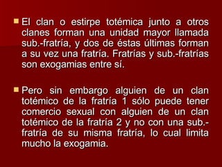 El clan o estirpe totémica junto a otros clanes forman una unidad mayor llamada sub.-fratría, y dos de éstas últimas forman a su vez una fratría. Fratrías y sub.-fratrías son exogamias entre sí.  Pero sin embargo alguien de un clan totémico de la fratría 1 sólo puede tener comercio sexual con alguien de un clan totémico de la fratría 2 y no con una sub.-fratría de su misma fratría, lo cual limita mucho la exogamia.  