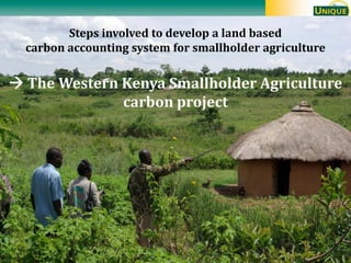 T Tennigkeit soil carbon overview and issues july 2010