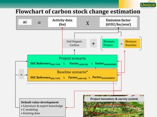 T Tennigkeit soil carbon overview and issues july 2010