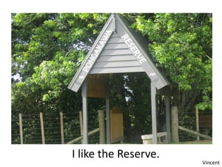 I like the Reserve.
                      Vincent
 