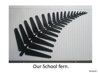 Our School fern.
                   Vincent
 