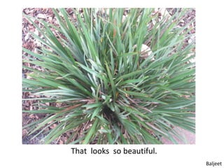 That looks so beautiful.
                           Baljeet
 