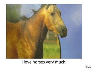 I love horses very much.
                           Olivia
 