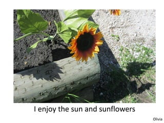 I enjoy the sun and sunflowers
                                 Olivia
 