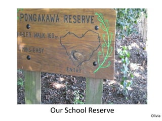 Our School Reserve
                     Olivia
 