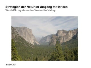 Strategien der Natur im Umgang mit Krisen
Wald-Ökosysteme im Yosemite Valley

 