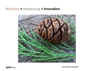 Resilienz = Anpassung + Innovation

Foto: National Geographic

 