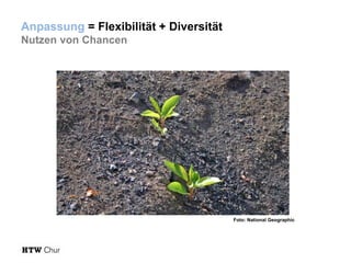 Anpassung = Flexibilität + Diversität
Nutzen von Chancen

Foto: National Geographic

 