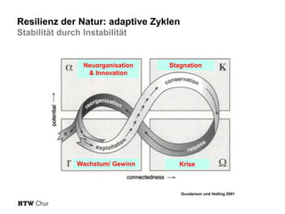 Resilienz der Natur: adaptive Zyklen
Stabilität durch Instabilität

Neuorganisation
& Innovation

Wachstum/ Gewinn

Stagnation

Krise

Gunderson und Holling 2001

 