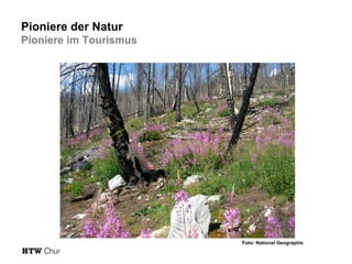 Pioniere der Natur
Pioniere im Tourismus

Foto: National Geographic

 