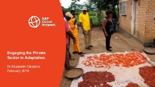Engaging the Private
Sector in Adaptation
Dr Elizabeth Carabine
February 2019
 