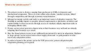 What is the ‘private sector’?
1. The private sector is diverse, ranging from producers to SMEs to domestic and
internation...