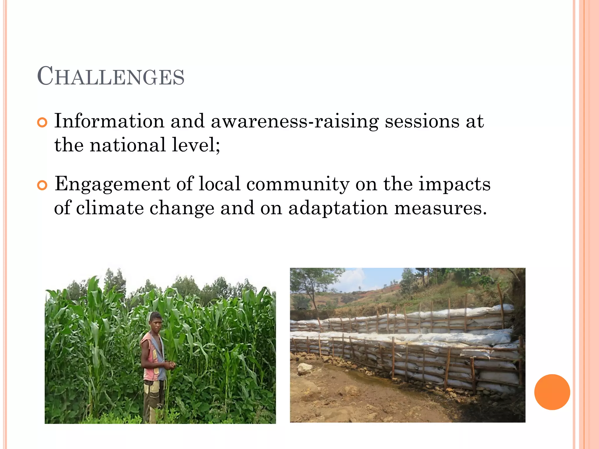 Slide 8