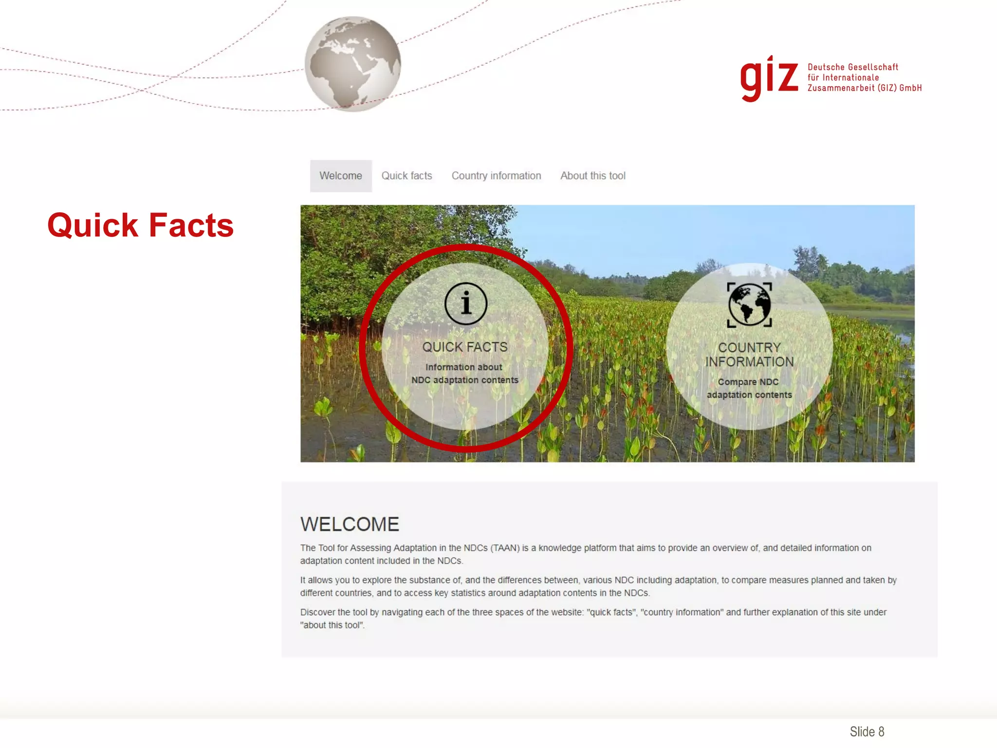 Slide 8