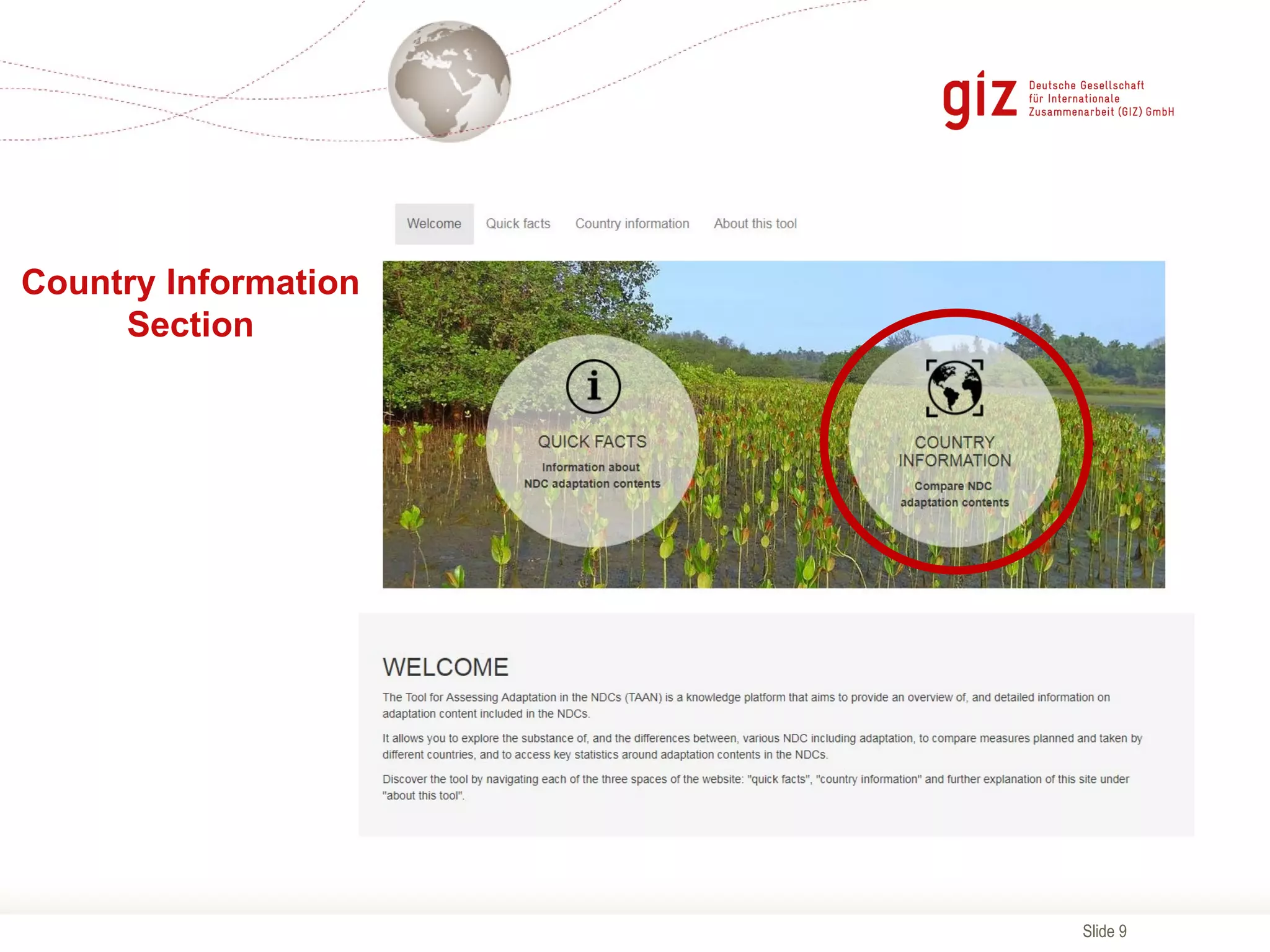 Slide 9