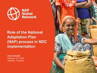 Role of the National
Adaptation Plan
(NAP) process in NDC
implementation
Anne Hammill
February 14th, 2019
Zanzibar, Tanzania
 