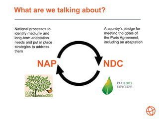 What are we talking about?
NAP NDC
A country’s pledge for
meeting the goals of
the Paris Agreement,
including on adaptatio...