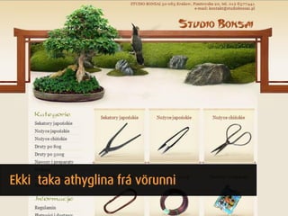 Hönnun




Ekki taka athyglina frá vörunni
 