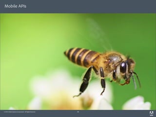 Mobile APIs




© 2010 Adobe Systems Incorporated. All Rights Reserved.   28
 