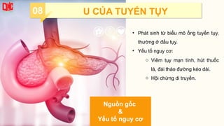 08 U CỦA TUYẾN TỤY
Nguồn gốc
&
Yếu tố nguy cơ
• Phát sinh từ biểu mô ống tuyến tụy,
thường ở đầu tụy.
• Yếu tố nguy cơ:
o Viêm tụy mạn tính, hút thuốc
lá, đái tháo đường kéo dài.
o Hội chứng di truyền.
 